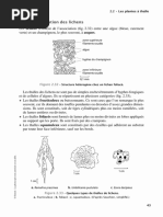 Transduction