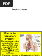 Respiratory System