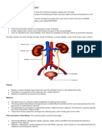 Excretion NOTES