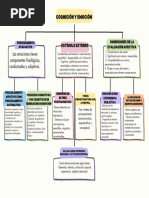 Mapa Conceptual