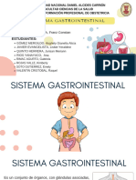 Sistema Gastrointestinal