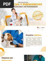 URGENCIAS Y EMERGENCIAS EN MEDICINA VETERINARIA SERVATUS Diciembre 2023-1