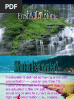 Freshwater 1