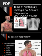 Aparato Respiratorio