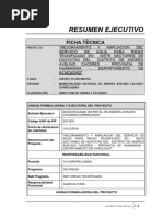 05.-Resumen Ejecutivo