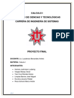 Trabajo Final Calculo 1