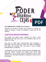 Presencial Pro Info - El Poder Del Diseño de Cejas