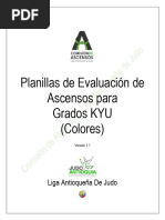 Planillas de Evaluación Grados Kyu - Colores 2019 v1.1