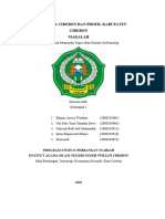 Makalah Profil Kota Dan Kabupaten Cirebon