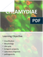 Chlamydia