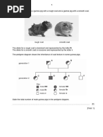 Pedigree Analysis WS Genetics