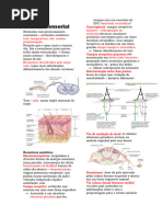 Sistema Somatossensorial