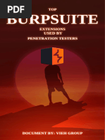 Top Burp Suite Extension Used by Pentesters