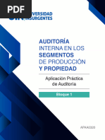 AplicacionPracticadeAuditoria Ant B1 C