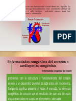 3.5 Enfermedades Congenitas Del Corazon