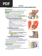 Fascias y Aponeurosis de La Pared Abdominal