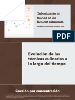 Introducción Al Mundo de Las Técnicas Culinarias-Briseida