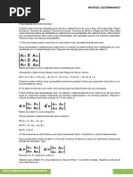 07 Matrizes Determinantes