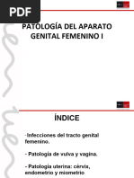 Tema 36. Patología Del Aparato Genital Femenino I