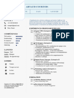 Template CV Resume Expert Cro