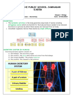 Life Processes - Excretion