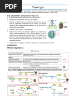 RESUMEN Egel Virologia