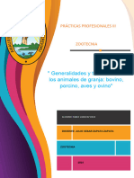 Practica Profecional Iii