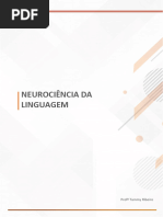 Neurociência Da Linguagem: Aula 3