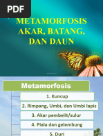 Pertemuan 7 (Metamorfosis Akar, Batang, Dan Daun)