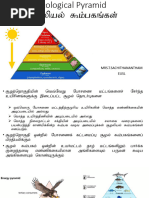 சூழலியல் கூம்பகங்கள்