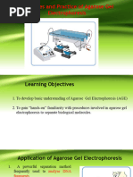 Agaroe Gel Electrophoresis-2023