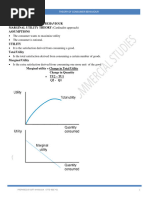 THEORY OF CONSUMER BEHAVIOUR 69pgs