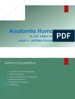 3 - Sistema Esquelético