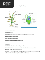 Microbial Morphology