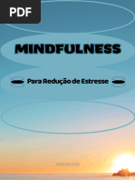 Mindfulness para Redução Do Estresse