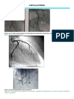 Circulatório - Resolvidas