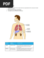 Excretion