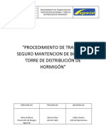 PTS Mantención BOMBA Y PLACING