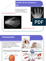 Aparato digestivoPRUA