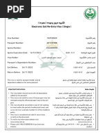 ( ) Electronic Exit Re-Entry Visa (Single)