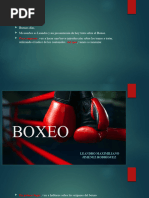 Boxeo 3.0 Con Conectores