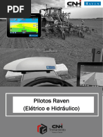 Pilotos Raven