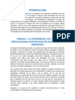 Unidad 3-La Diversidad Cultural Veracruzana Sustentada en Sus Pueblos Indigenas