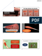 Contração Muscular Slides