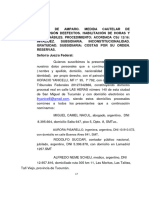 Amparo Patriótico en Contra Del DNU Presentado Ante El JUZGADO FEDERAL DE TUCUMAN