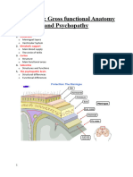 The Brain - Gross Functional Anatomy and Psychopathy (Lecture)