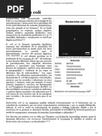 Escherichia Coli - Wikipedia, La Enciclopedia Libre