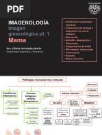 SESIÓN 10 - Imagen Mamaria