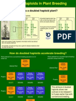 Double Haploids in Plant Breeding