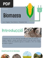 Biomassa